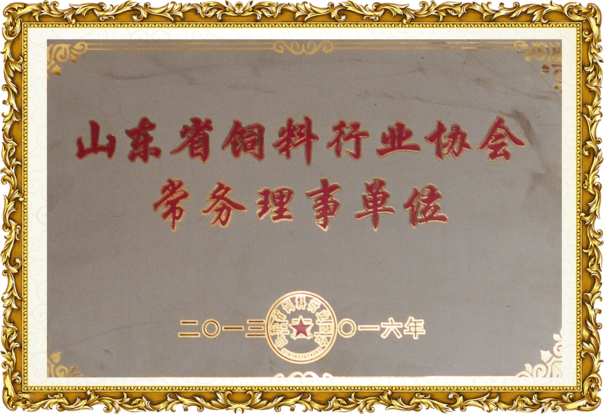 資質(zhì)榮譽(yù)